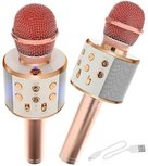 Karaoke - Microfoon - Met Luidspreker - Roze