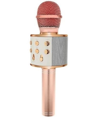 Karaoke - Microfoon - Met Luidspreker - Roze